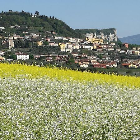 B&B Susanna Cavaion Veronese Kültér fotó